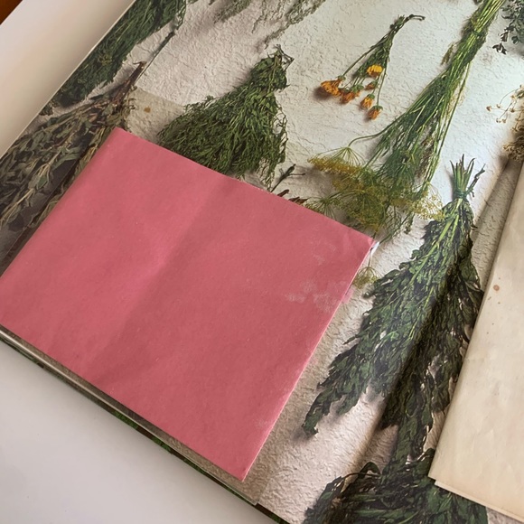 Vintage The Herb Book written by Arabella Boxer and Phillips Back circa 1980 - Picture 5 of 7
